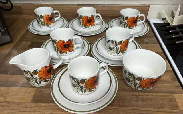 J & G Meakin Poppy Coffee/Tea Set with 6 Cups/Saucers  20 Pc Set Vgc Vintage