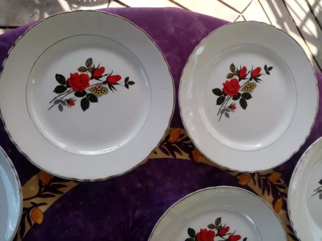 12 Assiettes Plates Moulin des Loups Orchies France Modèle Carmen Décor de Roses 2