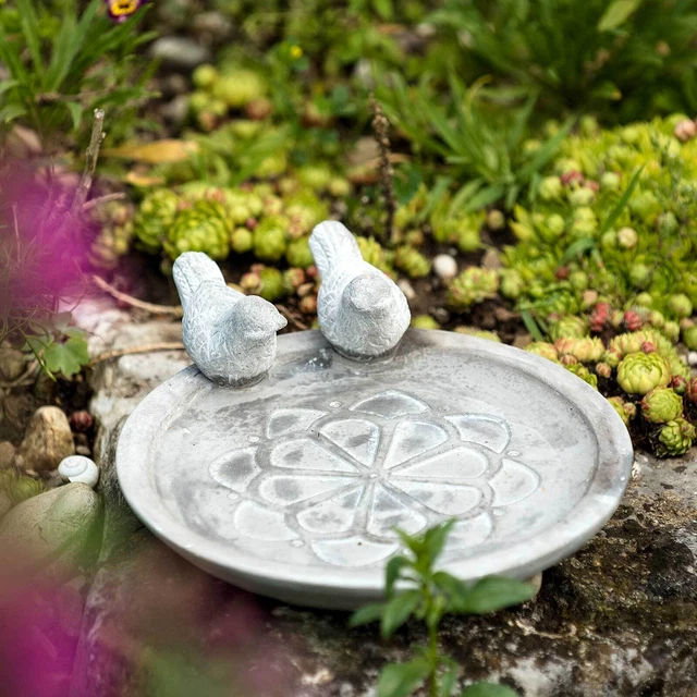 Vogeltränke Vogelbad stehend Futterstelle Beton Garten Futterschale Wasserschale