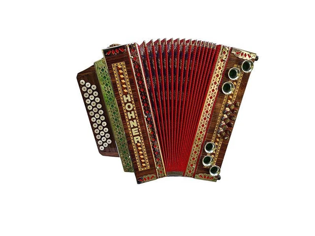 Maglietta Retrò Con Stampa Fisarmonica Stiriana - T-Shirt Per Musicisti E Appassionati - Foto 6