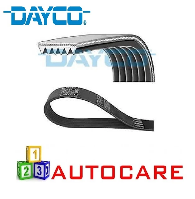 DAYCO 6PK1451 Courroie Crantée Pour Citroën, Peugeot
