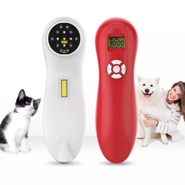 Terapia laser veterinaria a freddo per animali domestici 800mW + occhiali di sicurezza