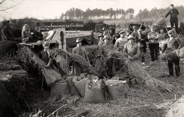 Harvest time at Casteren in the south of Holland 1925 Historic Old Photo