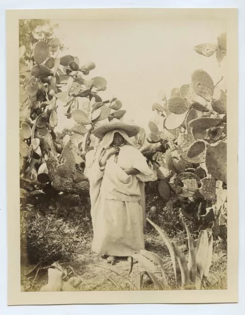 Woman & Cacti Tangiers Morocco c1890s Photo