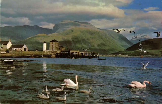 Loch Linnhe and Ben Nevis : Vintage Postcard.