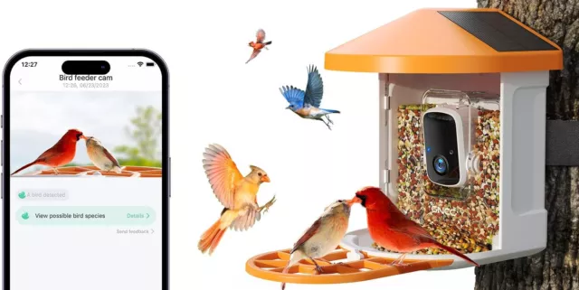 GNCC Bird Feeder with Camera Wireless AI Identify Bird Species, Smart Outdoor Bi