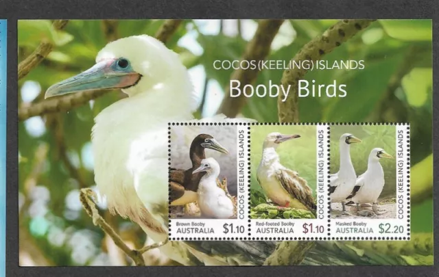 Booby Birds Norfolk Island Mnh Min Sheet