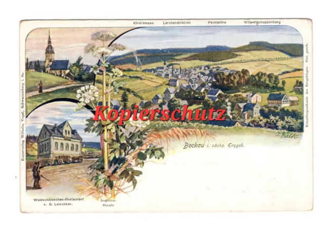 postcard Bockau Lauter Bernsbach Zschorlau Schneeberg Aue Schlema BIRD Schwarzenberg