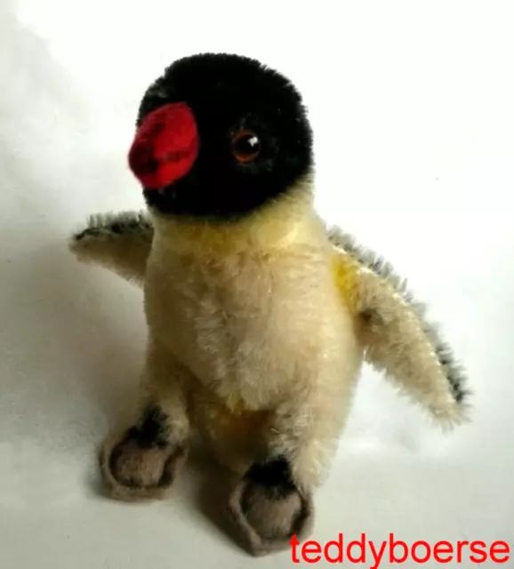 alter kleiner STEIFF PINGUIN  " Peggy " • mit Knopf •  10 cm • 60/70er Jahre