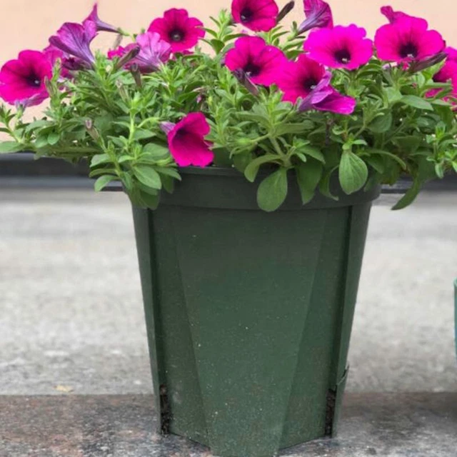 Blumentopf Grün Im Freien Kunststoff Pflanze Pflanze wachsen Langlebig