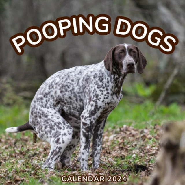 POOPING DOGS CALENDAR 2024 Have a Chuckle with the 2024 Dog Calendar