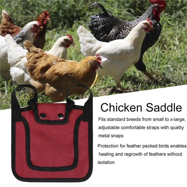 Chicken Apron Hen Back for Protection Backyard Poultry Protector