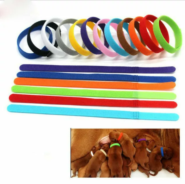 12 Whelp ID Collars Whelping Newborn Puppy Kitten ID Collar Bands For Breeders 2