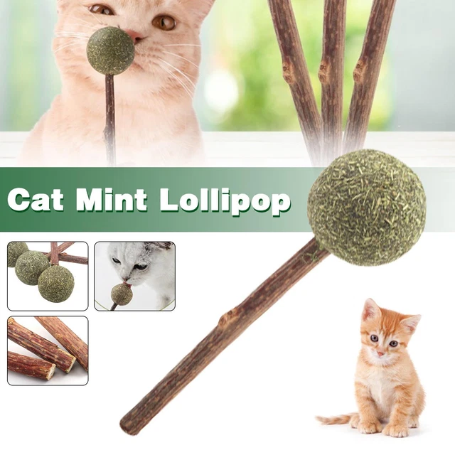 1 x snack per gatti sani caramelle zucchero erba gatta che leccano nutrizione palla giocattolo UK F5A4