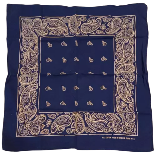 Y.T.C. VINTAGE BANDANA; Blue Paisley RN75564