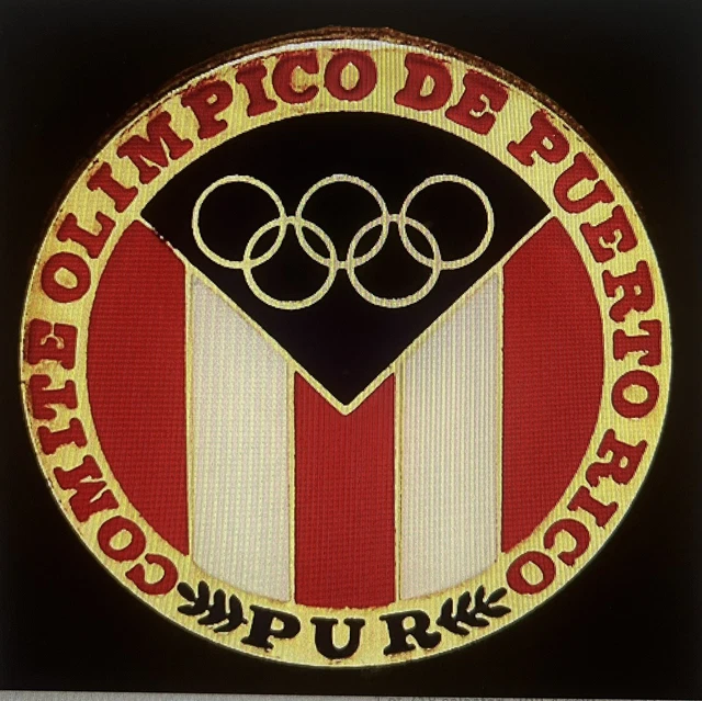 OLYMPIC PIN PINS Paris 2024 Puerto Rico NOC 7.95 PicClick