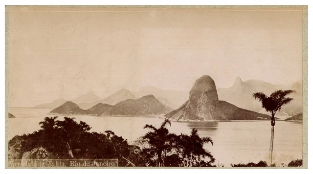 Photo Ancienne Brésil Rio De Janeiro - Tirage Albuminé Original Vers 1870