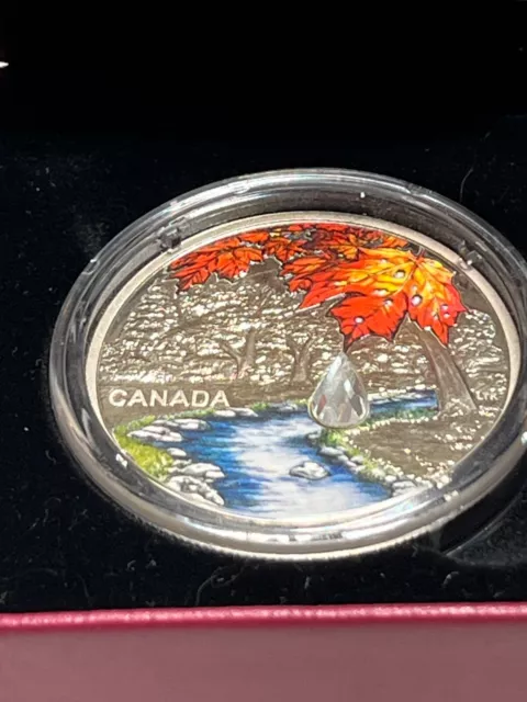 2017 Canada $20 Fine Silver Jewel of the Rain Sugar Maple Leaves Coin 2