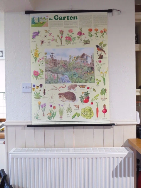 VINTAGE PULL ROLL Down School Wall Chart Of The Garden - Flowers ...
