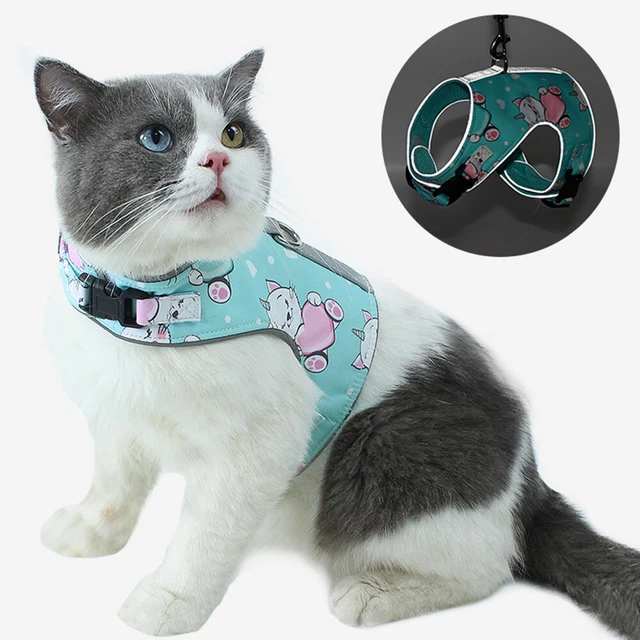 Imbracatura per gatti domestici gilet per gattini regolabile riflettore
