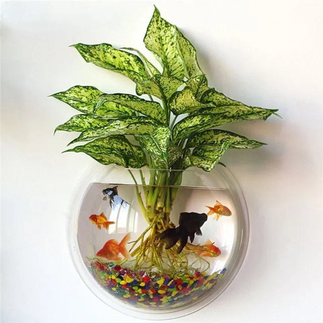Wall Mounted Hanging Aquarium Tank Fish Bowl Plant Flower Pot Home Decoration