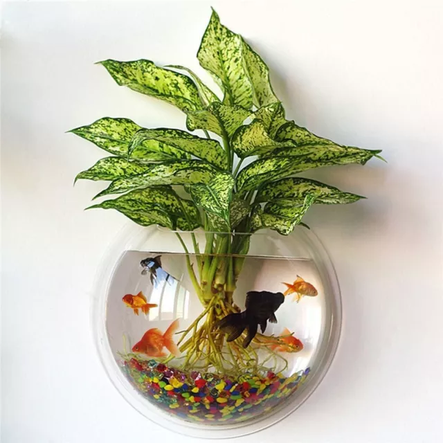 Wall Mounted Hanging Fish Bowl Aquarium Tank Flower Pot Plant Vase Home Decor