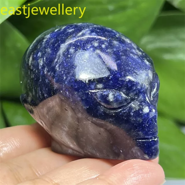 2" Carved Natural sodalite alien skull Quartz Crystal Skull reiki healing 1pc