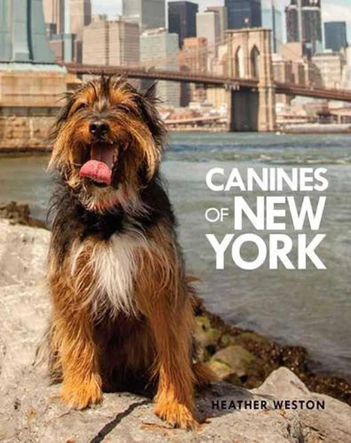 Canines of New York by Heather Weston (English) Hardcover Book