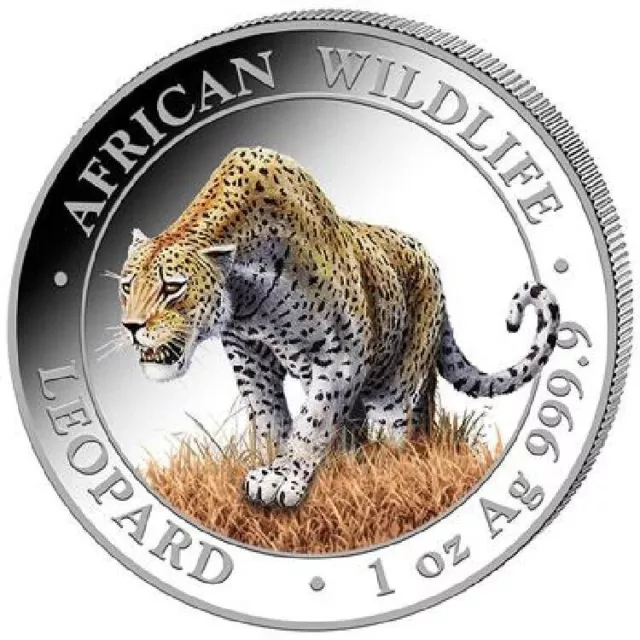 Leopard African Wildlife 2023 100 Shillings 1oz Silver Colored Coin  Somalia