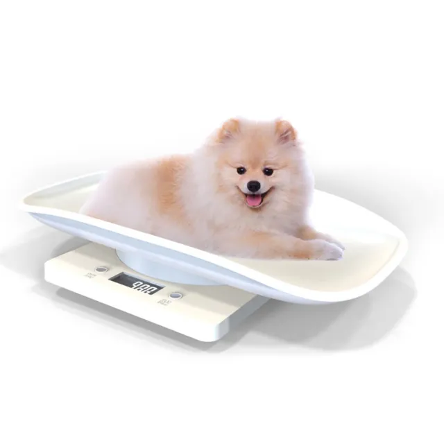 Large LCD Display Electronic Mail Parcel Weight Scale Pet Dog/Cat/Rabbit 10kg