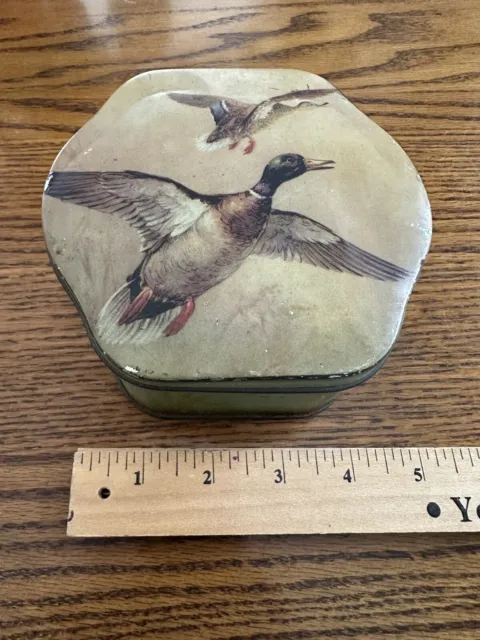 Vintage Trinket Tin Box Metal Ducks Button Tea Box England Mallard Duck Hinged