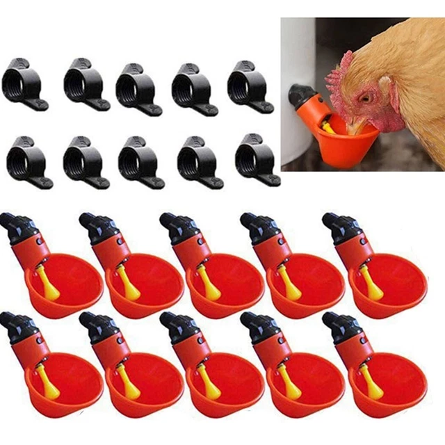 10x Mangime Automatico Uccello Pollaio Abbeveratoio Acqua Bere Cups-Au