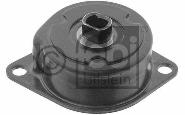 FEBI BILSTEIN Galet tendeur (courroie d'accessoire) pour SKODA FELICIA 30989