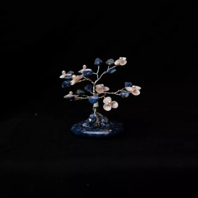 2.5 inch Sodalite gem tree W/Shell Flowers Feng Shui healing on Sodalite Base