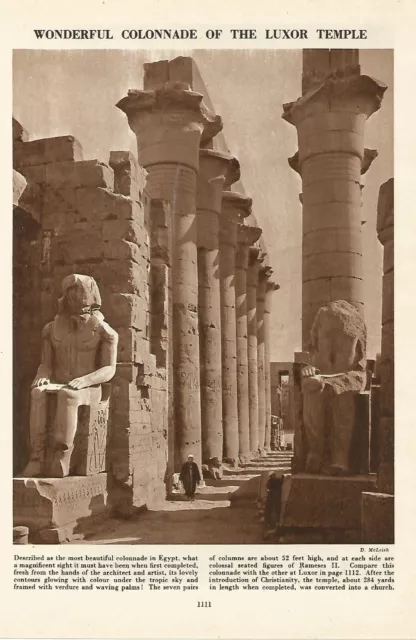 Egypt Wonderful Colonade Of Luxor Temple Building Old Illustration Print