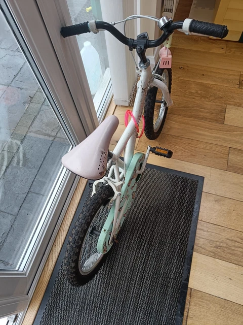 Apollo butterflies store bike