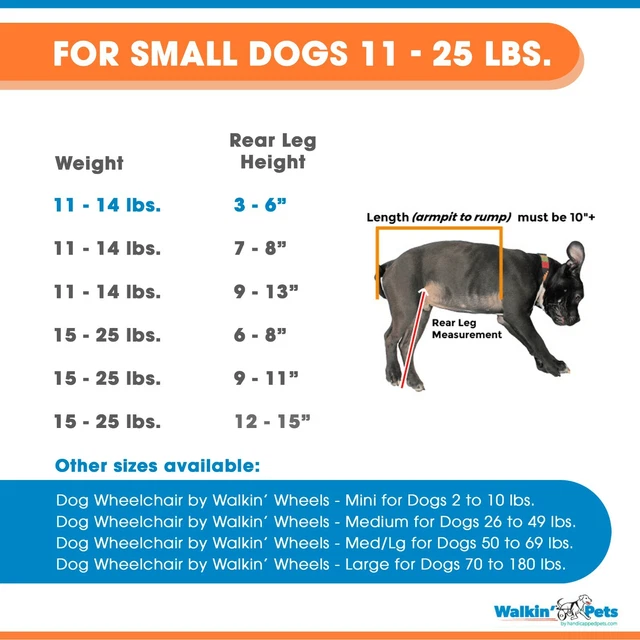 Lightweight Dog Wheelchair - for Small Dogs 11-25 Pounds - Veterinarian Approved 2