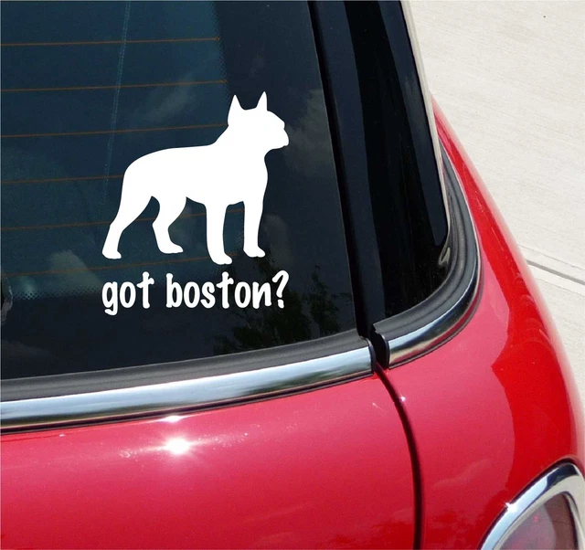 Got Boston? Boston Terrier Dog Graphic Decal Sticker Art Car Wall Decor