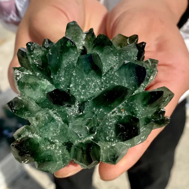 304G New Find Green Phantom Quartz Crystal Cluster Mineral Specimen Healing-AF