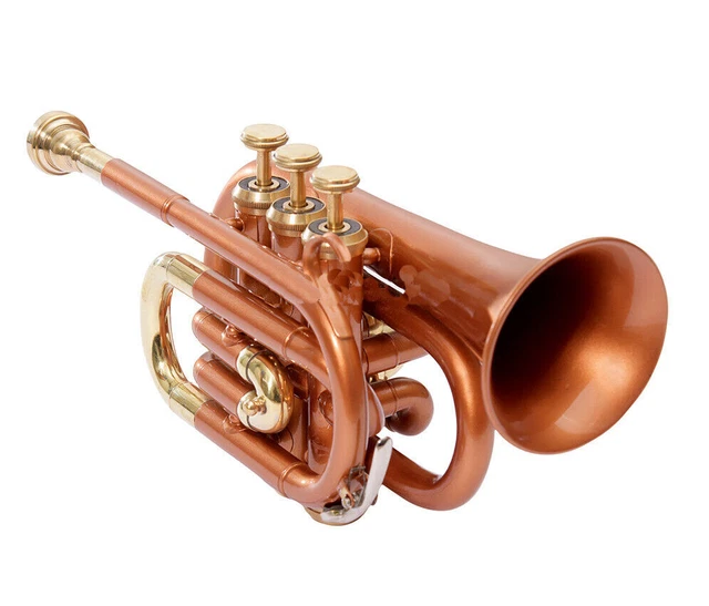 Pocket Trumpet Brass Made BB pitch avec étui rigide et embouchure (cuivre)