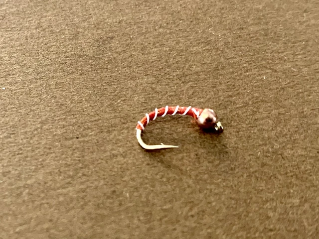 12 Tungsten Gold Bead Head Red Zebra Midge - Fly Fishing Flies