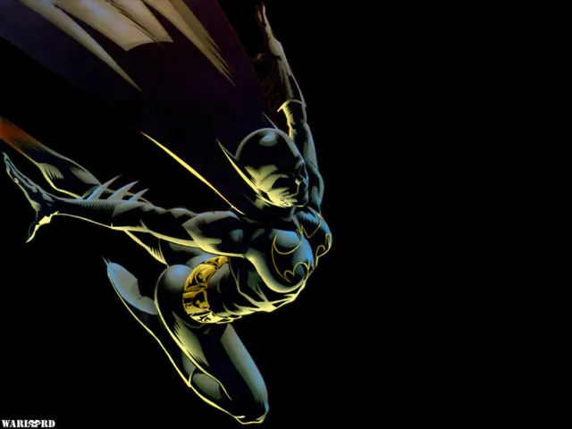 Comics Batman Batgirl Cassandra Cain Mask Bodysu Custom Mat USA SHIP