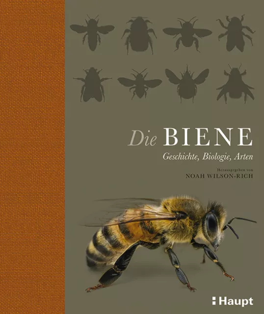 Die Biene: Geschichte, Biologie, Arten / Haupt Verlag / Gebunden /9783258078694