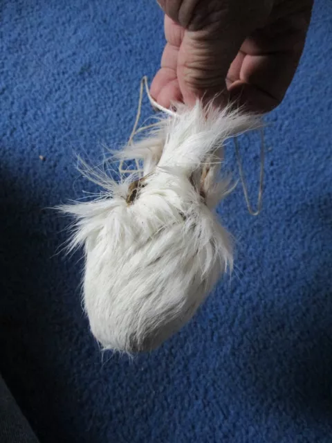 trophy whitetail deer scrotum real  Ball bag oddity nutsack gag gift  bag art F4