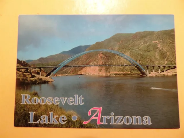 Roosevelt Lake Arizona vintage postcard aerial view Suspension bridge