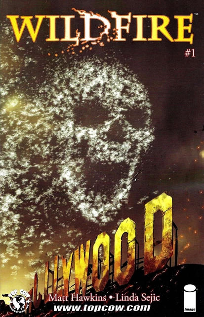 Wildfire #1B VF/NM; Image | Matt Hawkins - Top Cow - we combine shipping