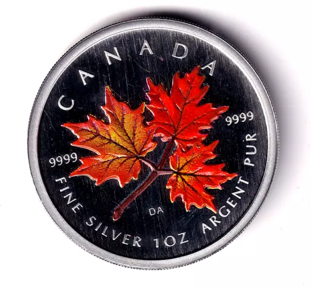AV-VD  Kanada 2001 5 Dollars Maple Leaf Colour 31,1 Gr. = 1 OZ 999er Silber V61