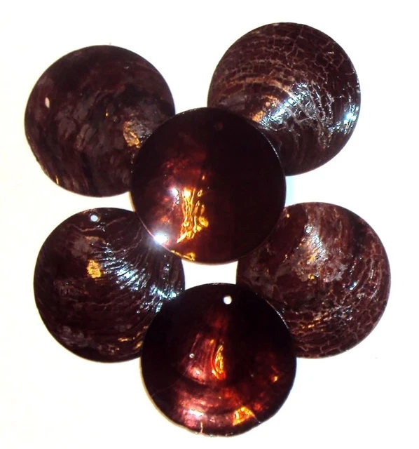 S417 Dark Brown 40mm Top-Drilled Round Coin Drop Mussel Shell Focal Beads 6pc