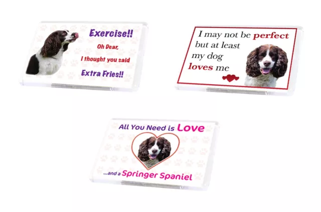 Funny Dog SPRINGER SPANIEL Fridge Magnet Various Designs Pet Lover Ideal Present