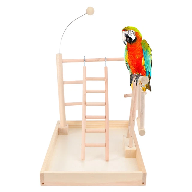 Papagei Stehender Stock Vogelständer Massivholz Schaukel Spielzeug 2